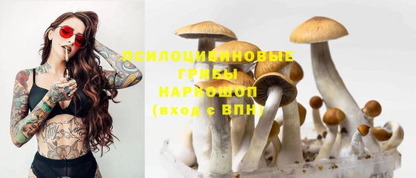 apvp Нефтегорск