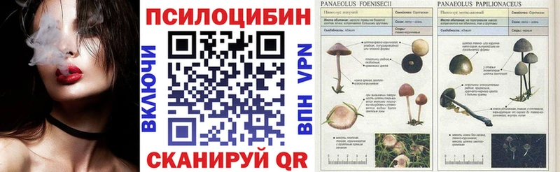 Псилоцибиновые грибы прущие грибы  Североуральск 